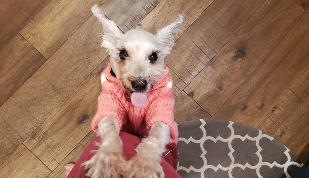 Jessie’s Story