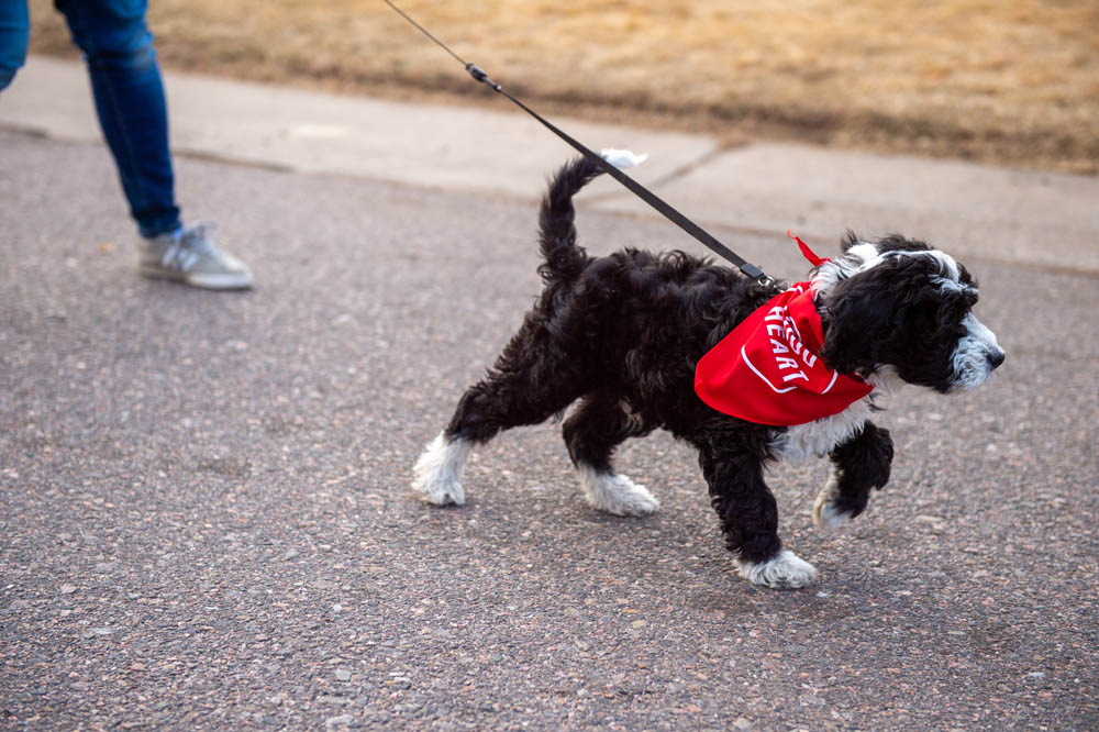 Veterinary Client Rewards Austin, TX Firehouse Belterra