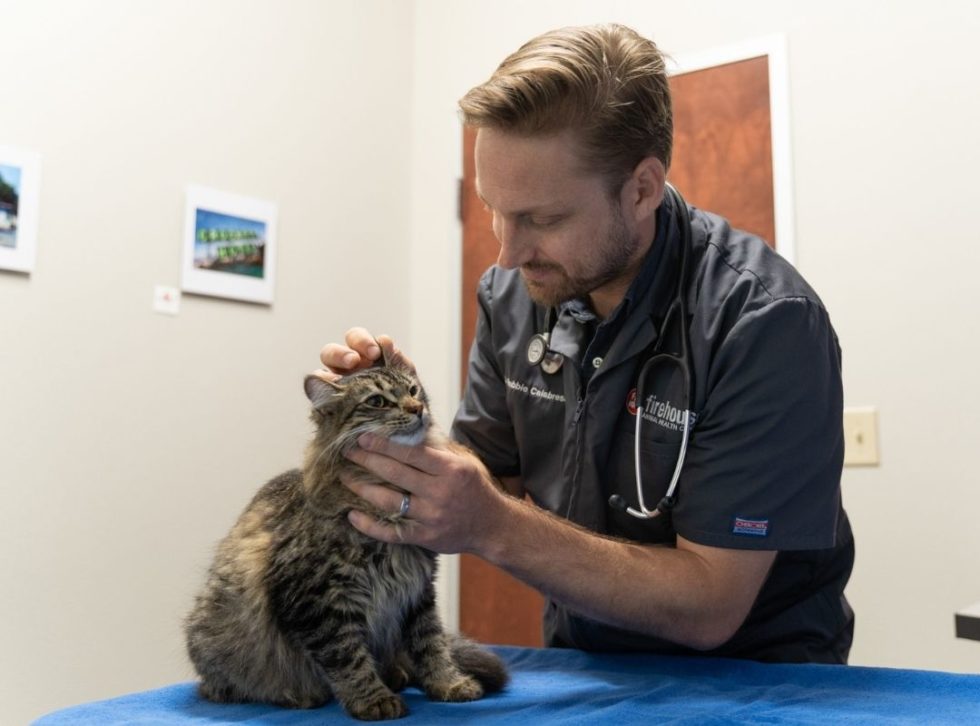 Best Veterinary Hospital In Austin, TX Firehouse Belterra