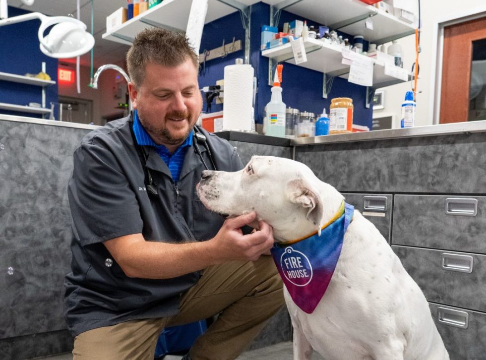 Best Veterinary Hospital In Austin, TX Firehouse Belterra