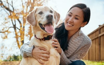 Shield Your Pets from Neighborhood Predators 5 tips to protect your cats & dogs from coyotes, bobcats, & owls