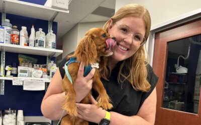 5 Ways to Support Pets With Separation Anxiety