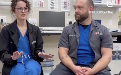 More Than a Cleaning: How Firehouse Approaches Pet Dental Care